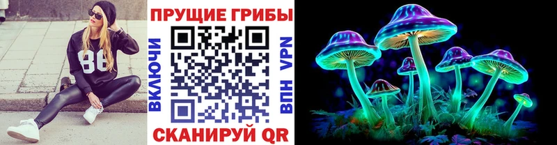 Псилоцибиновые грибы GOLDEN TEACHER  Купить закладки  Инсар 